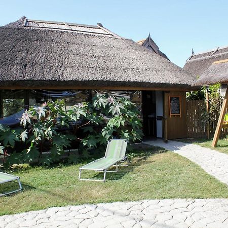 Отель Cerdacul Cu Stuf Сфынту-Георге Экстерьер фото